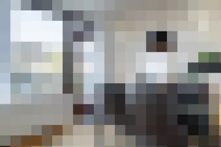 Brikkebekker 55 Landgraaf thumbnail 9
