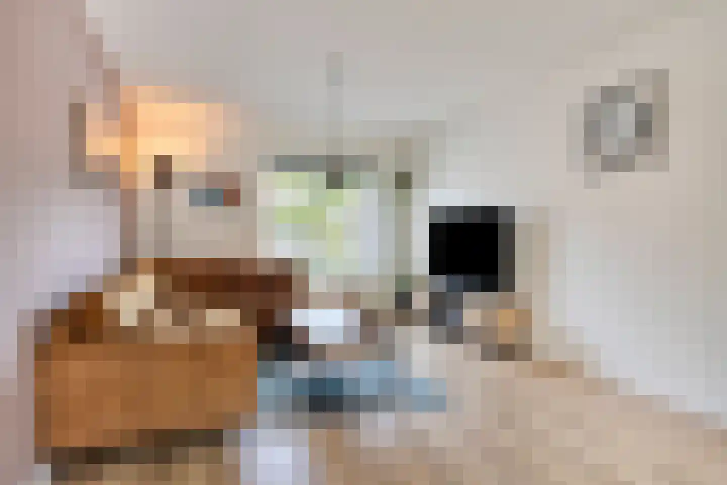 Brikkebekker 56 Landgraaf thumbnail 4