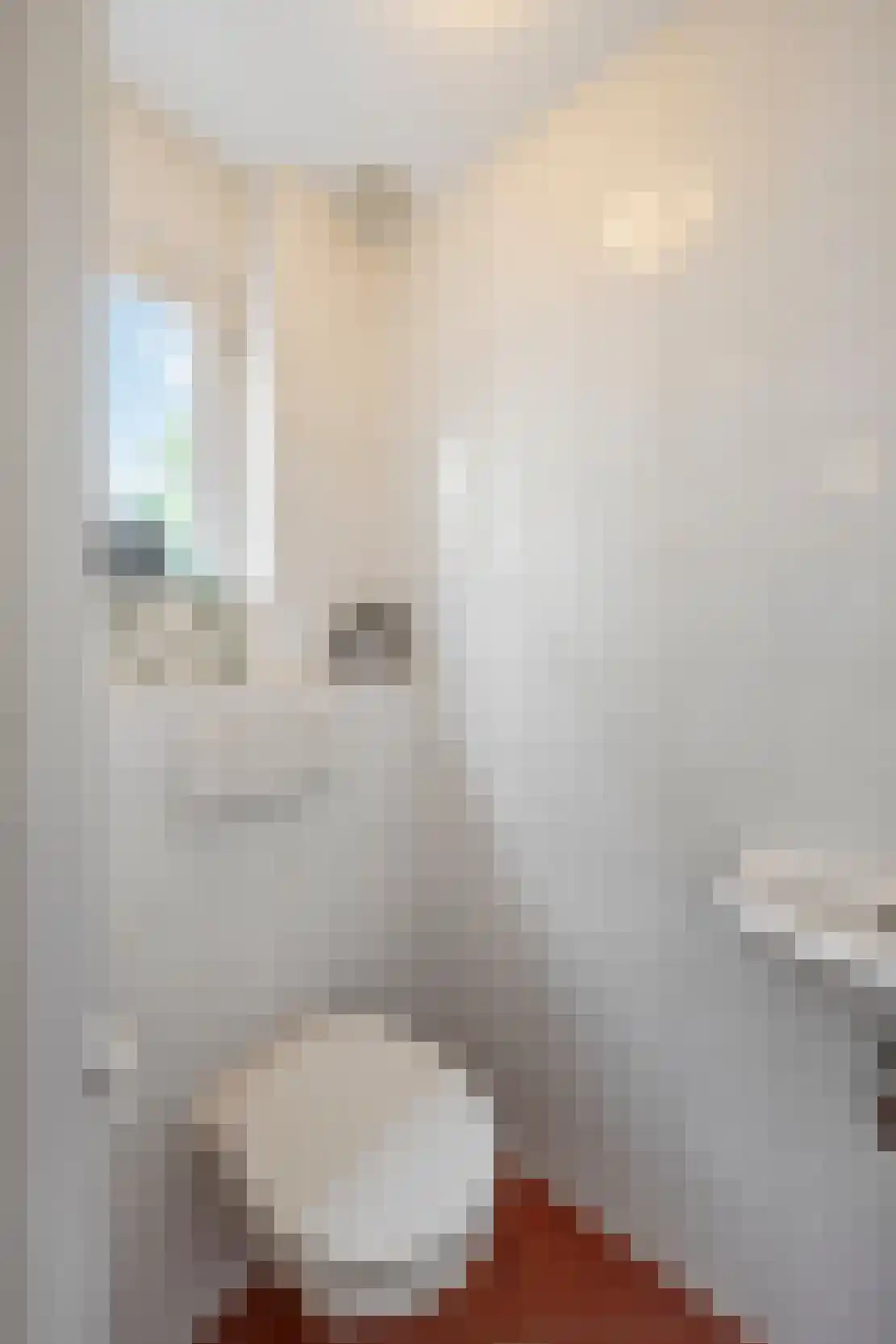 Brikkenoven 16 Roermond thumbnail 15