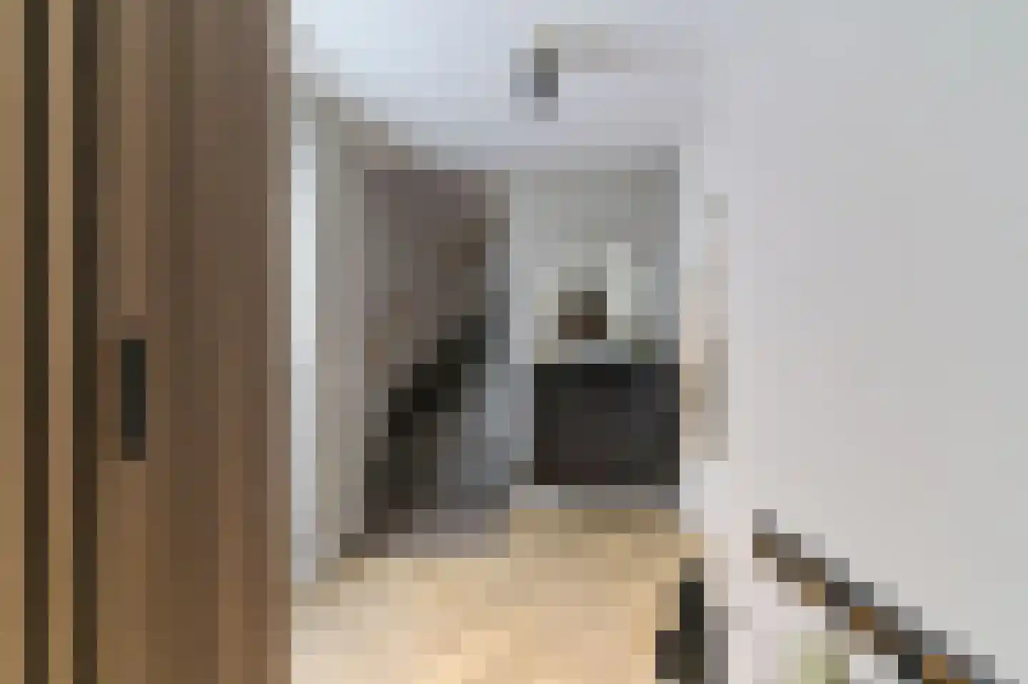 Brikkenoven 18 Roermond thumbnail 22