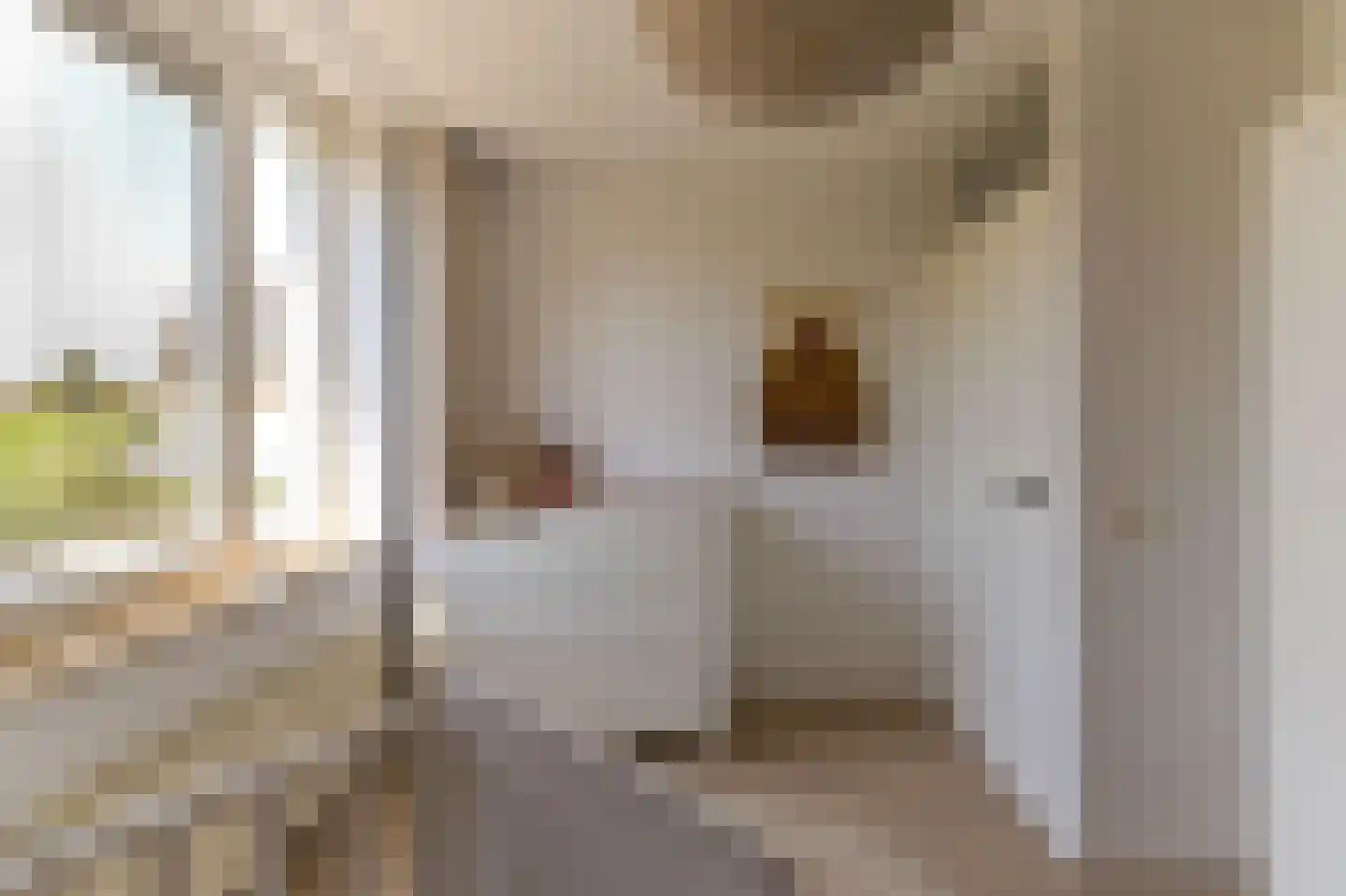 Brikkenoven 18 Roermond thumbnail 29