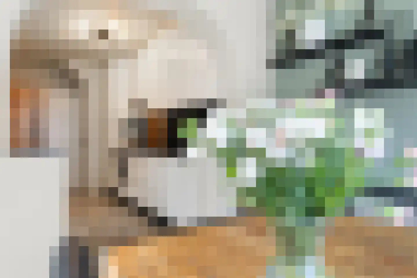 Brikkenstraat 25 Maasbracht thumbnail 11