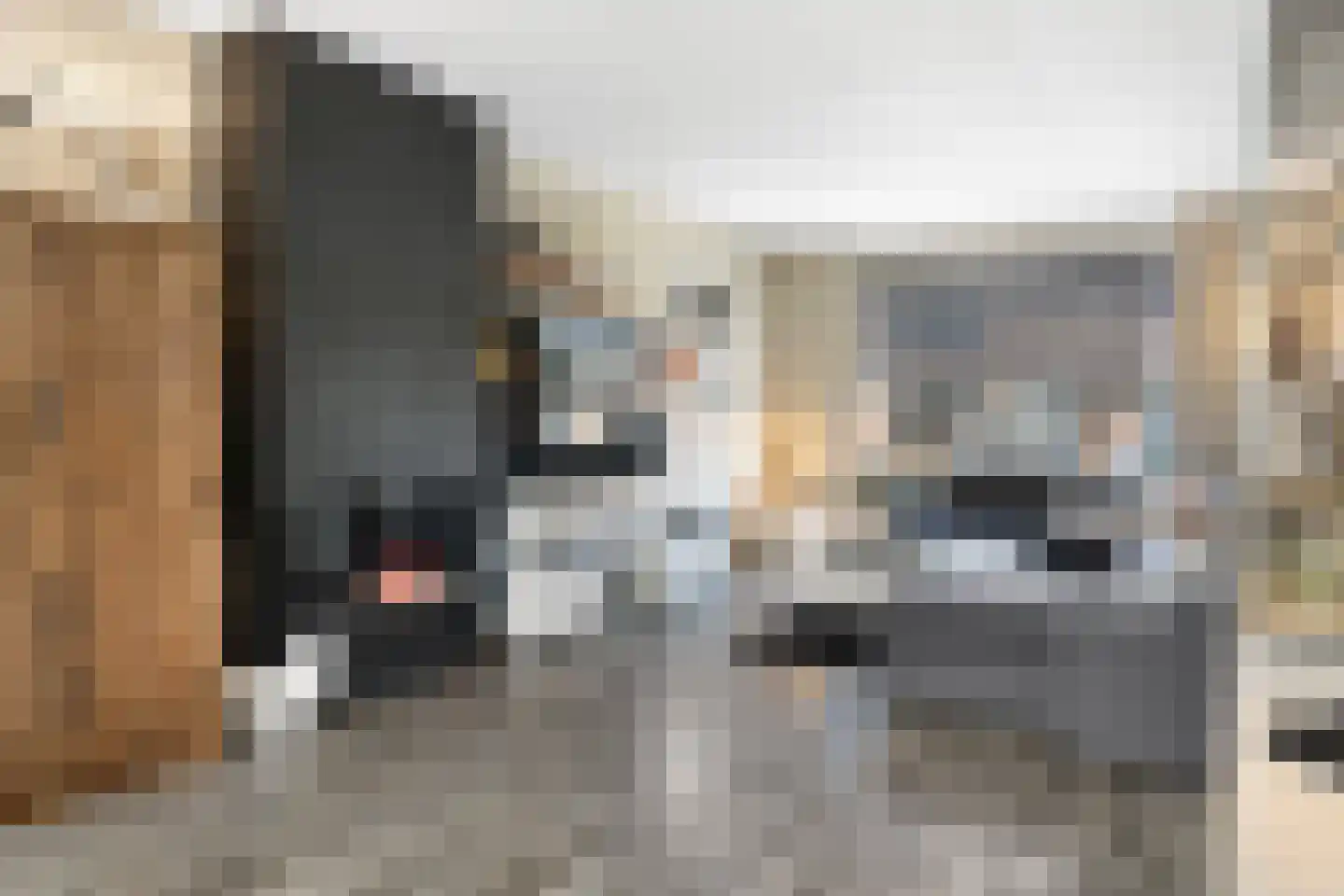 Brikkenstraat 25 Maasbracht thumbnail 12