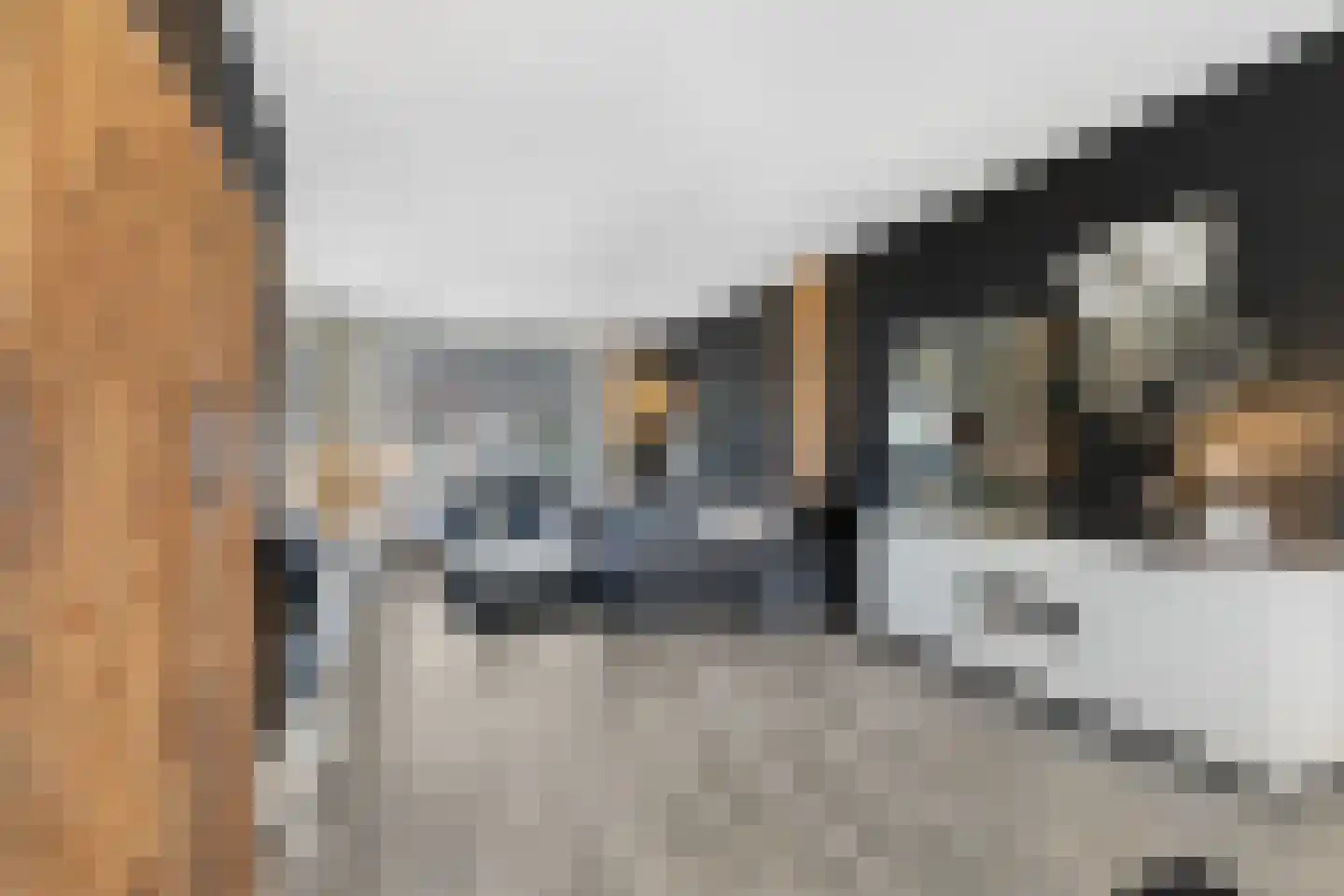 Brikkenstraat 25 Maasbracht thumbnail 15