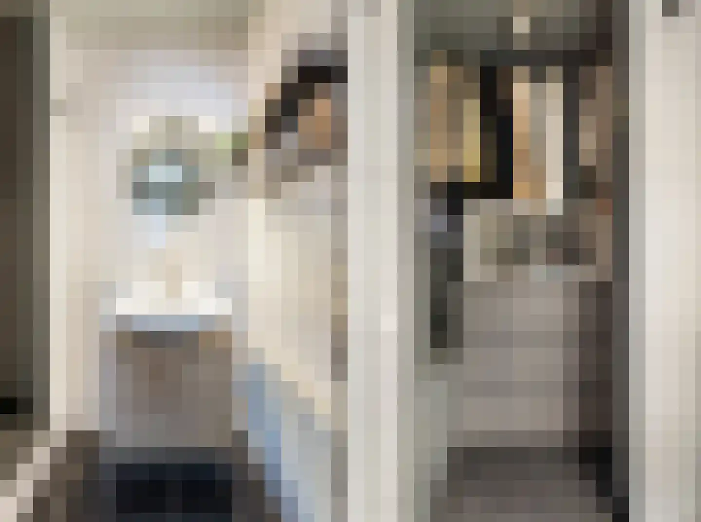 Brikkenstraat 25 Maasbracht thumbnail 19