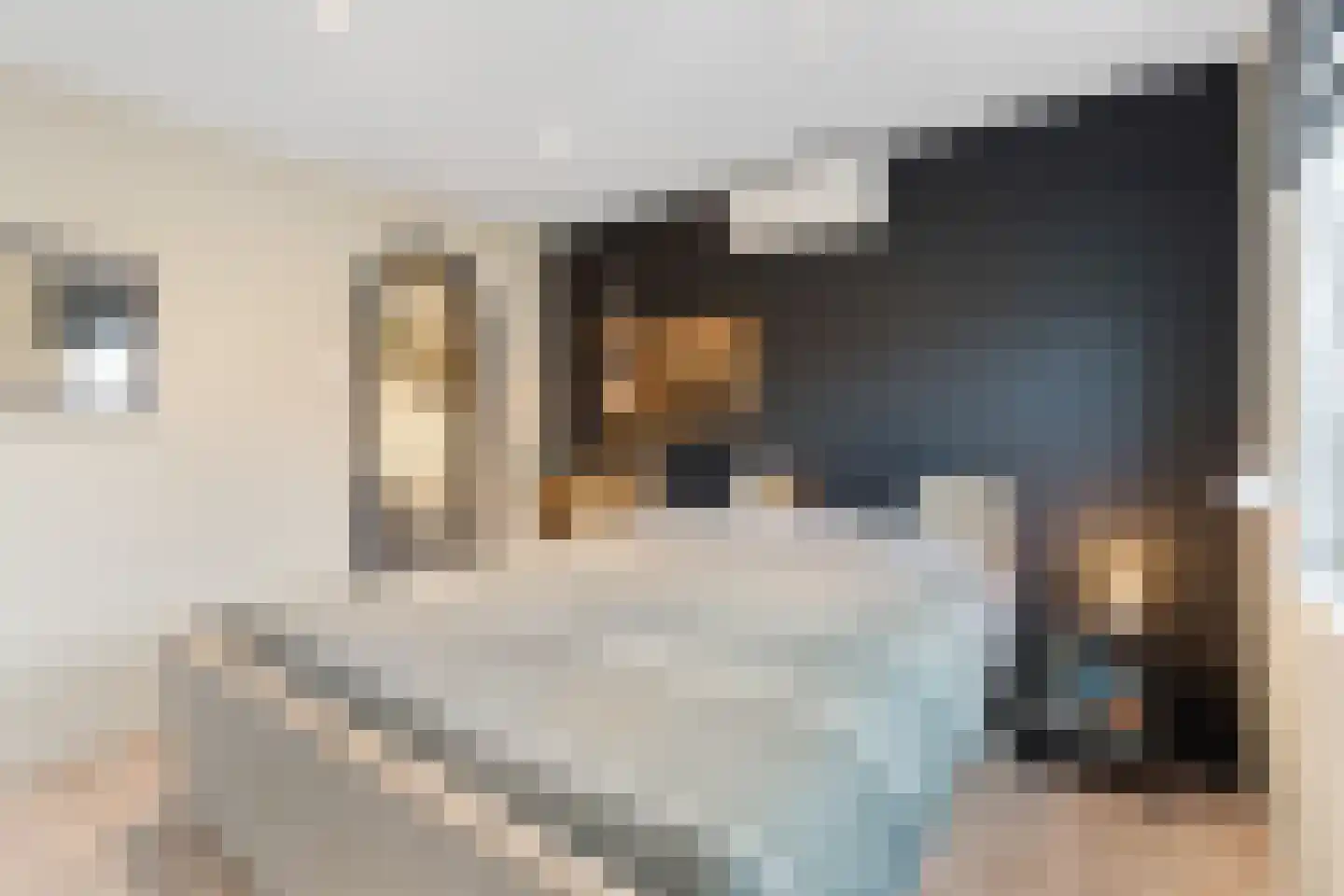 Brikkenstraat 25 Maasbracht thumbnail 20