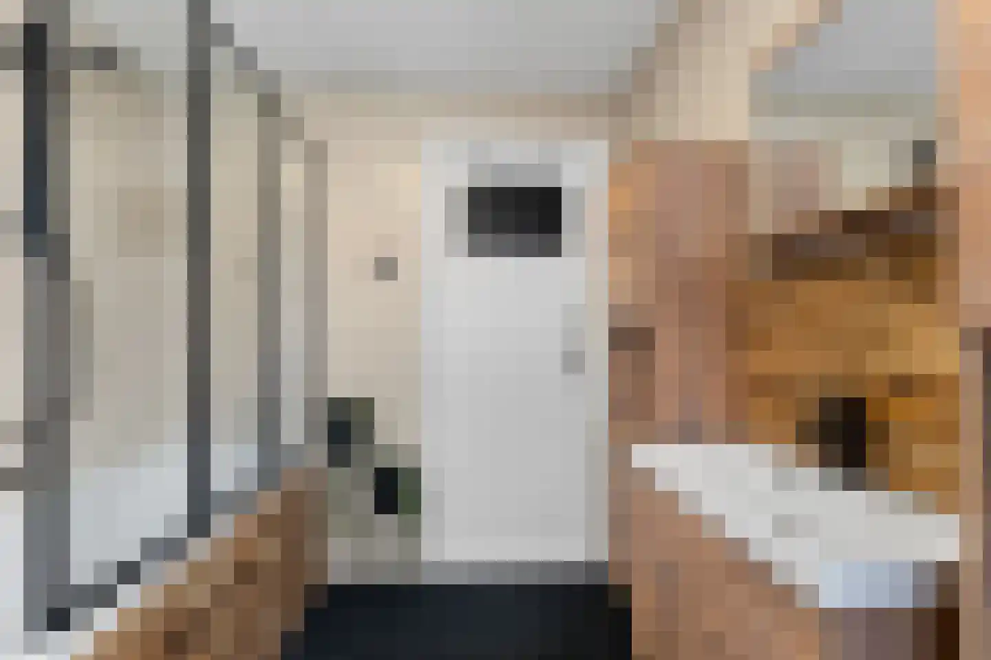 Brikkenstraat 25 Maasbracht thumbnail 23