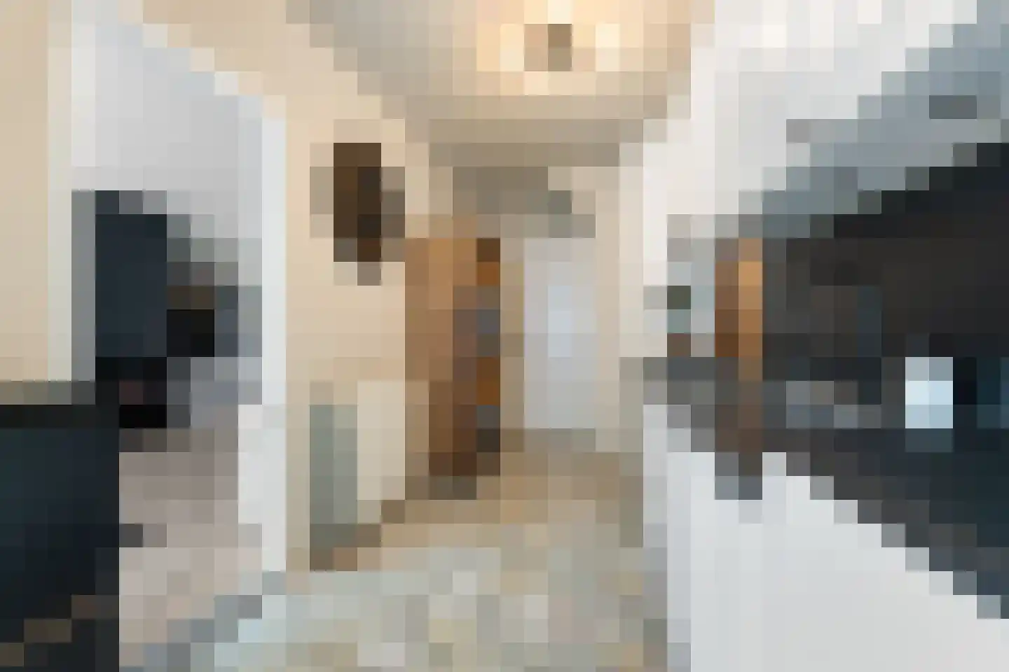 Brikkenstraat 25 Maasbracht foto 3
