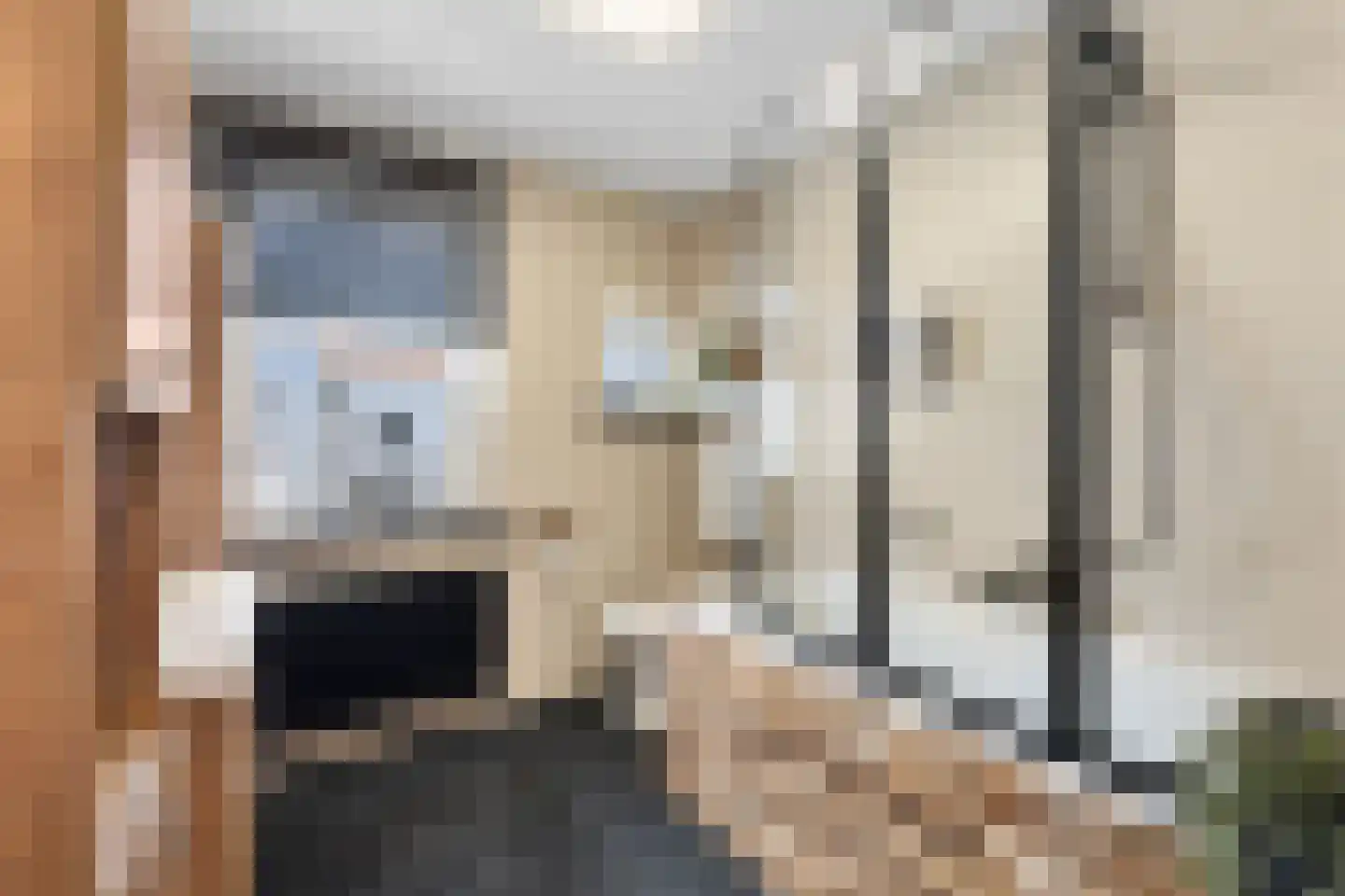 Brikkenstraat 25 Maasbracht thumbnail 4