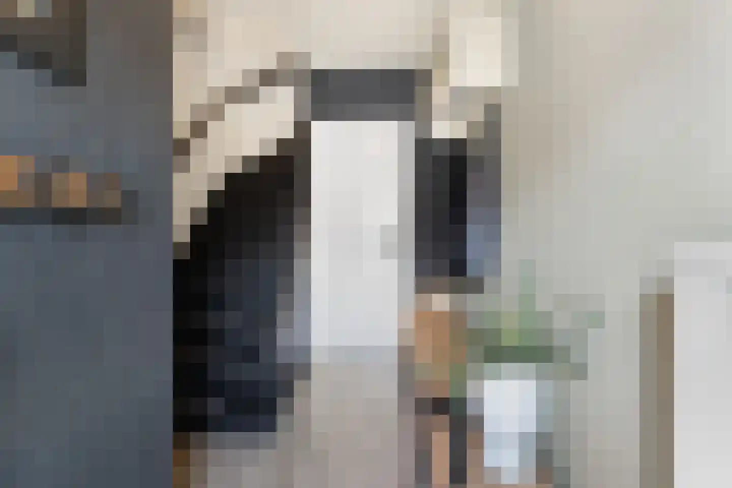 Brikkenstraat 25 Maasbracht thumbnail 7