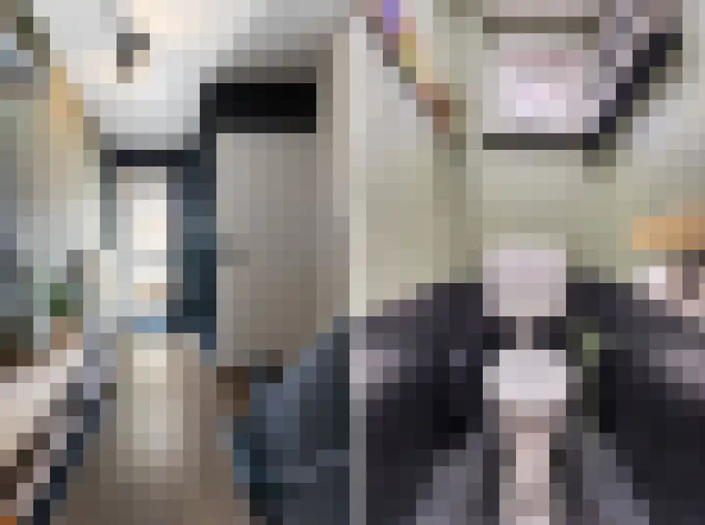 Brikkenstraat 25 Maasbracht thumbnail 8