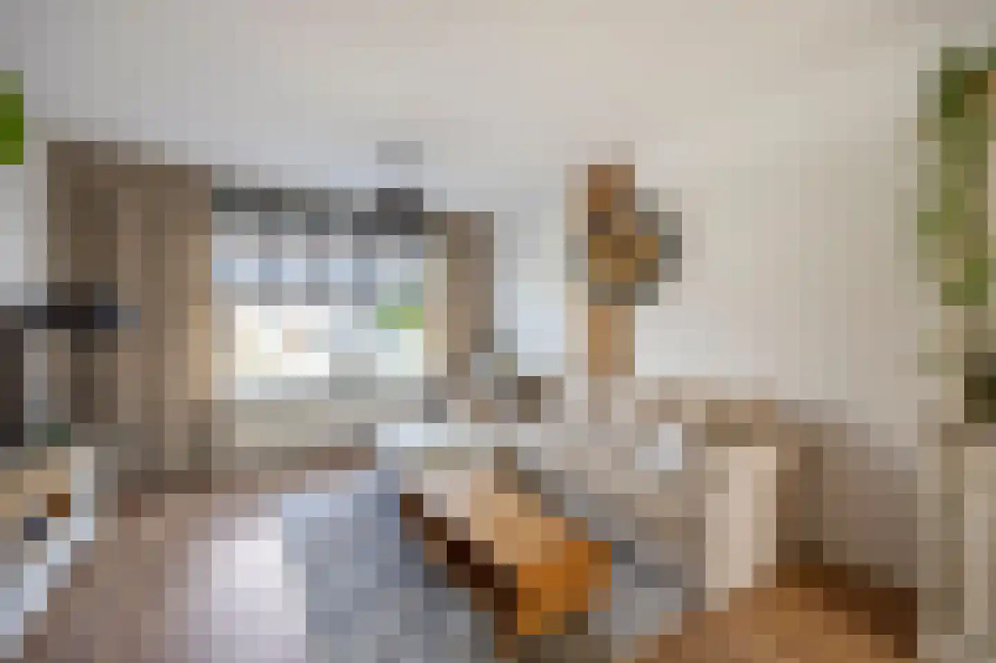 Brikkenstraat 30 Maasbracht thumbnail 10