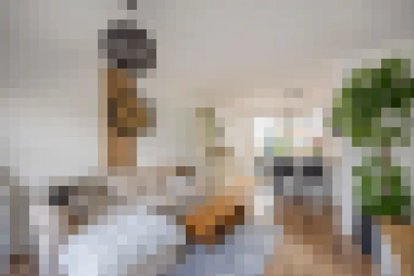 Brikkenstraat 30 Maasbracht thumbnail 13