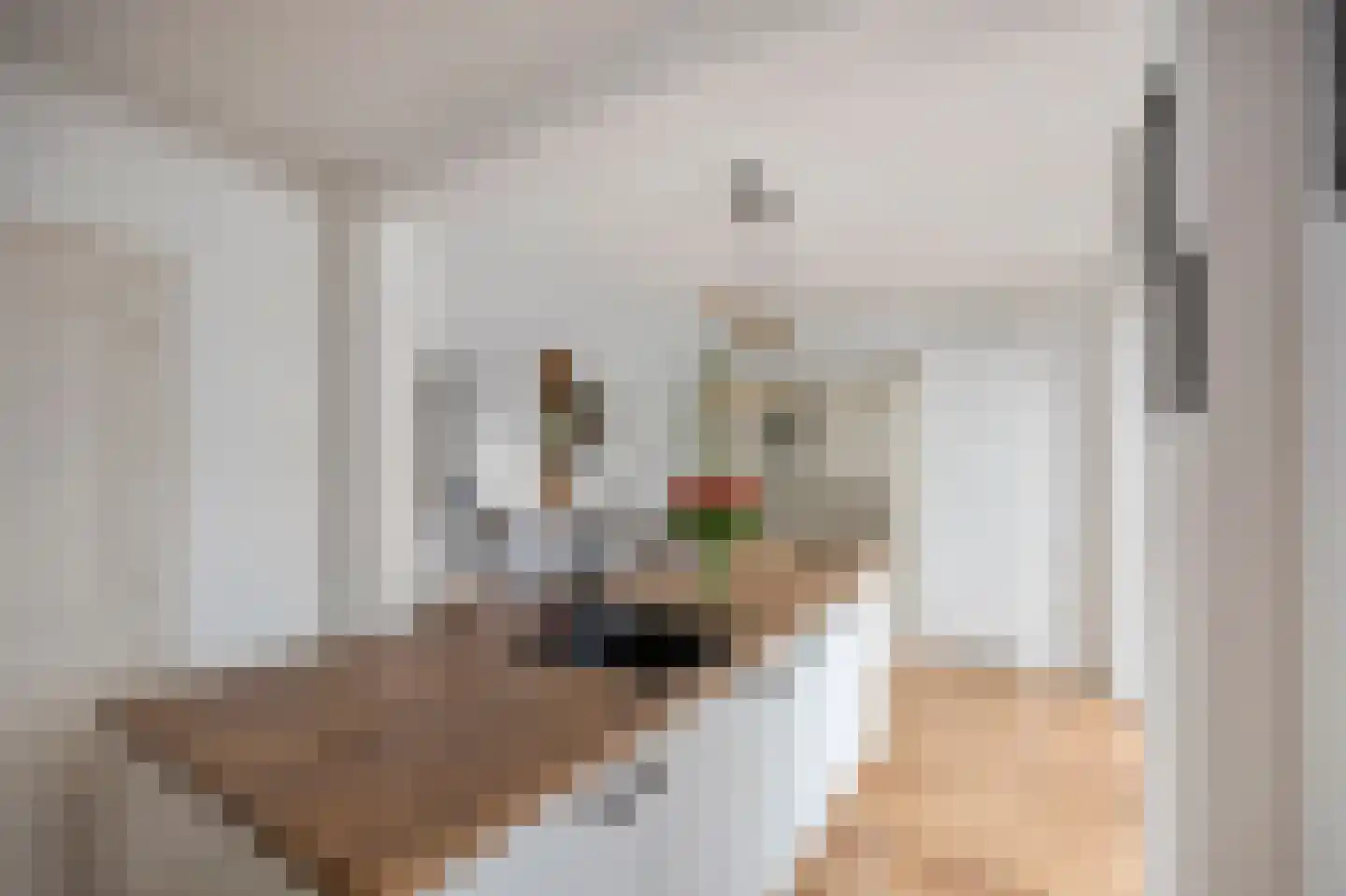Brikkenstraat 30 Maasbracht thumbnail 17