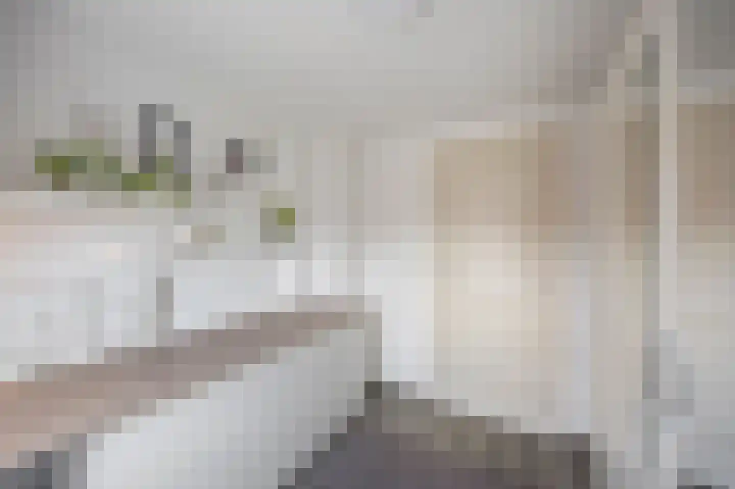 Brikkenstraat 30 Maasbracht thumbnail 27
