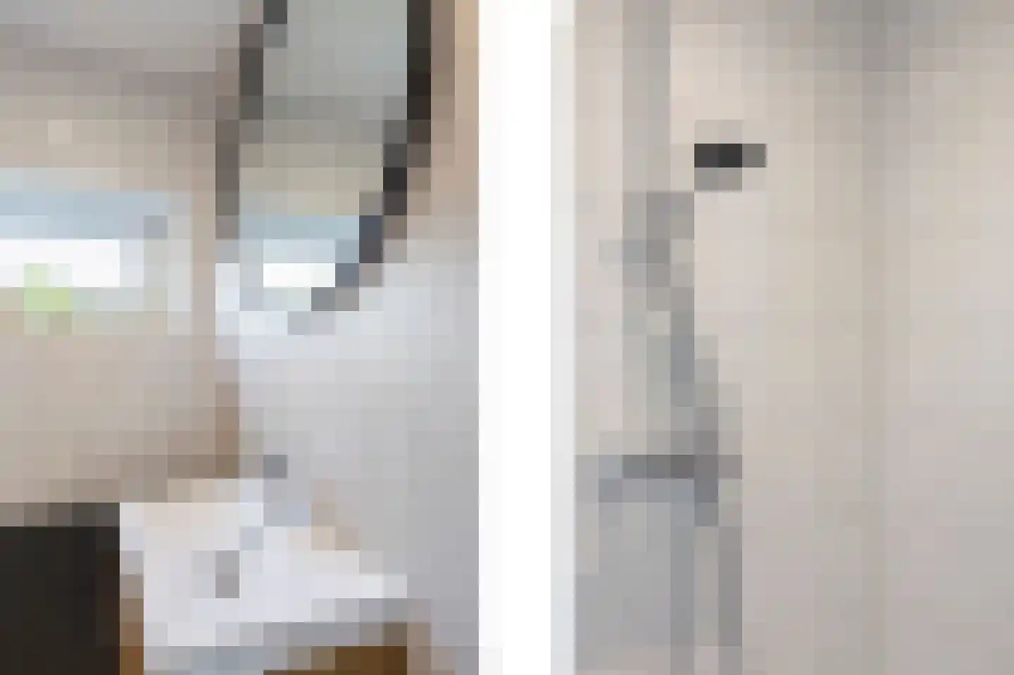 Brikkenstraat 30 Maasbracht thumbnail 30