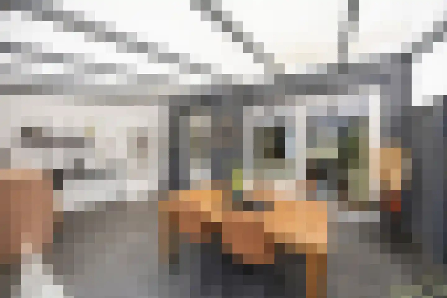 Brikkenstraat 30 Maasbracht thumbnail 38
