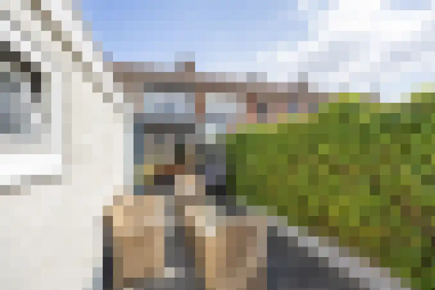 Brikkenstraat 30 Maasbracht thumbnail 39