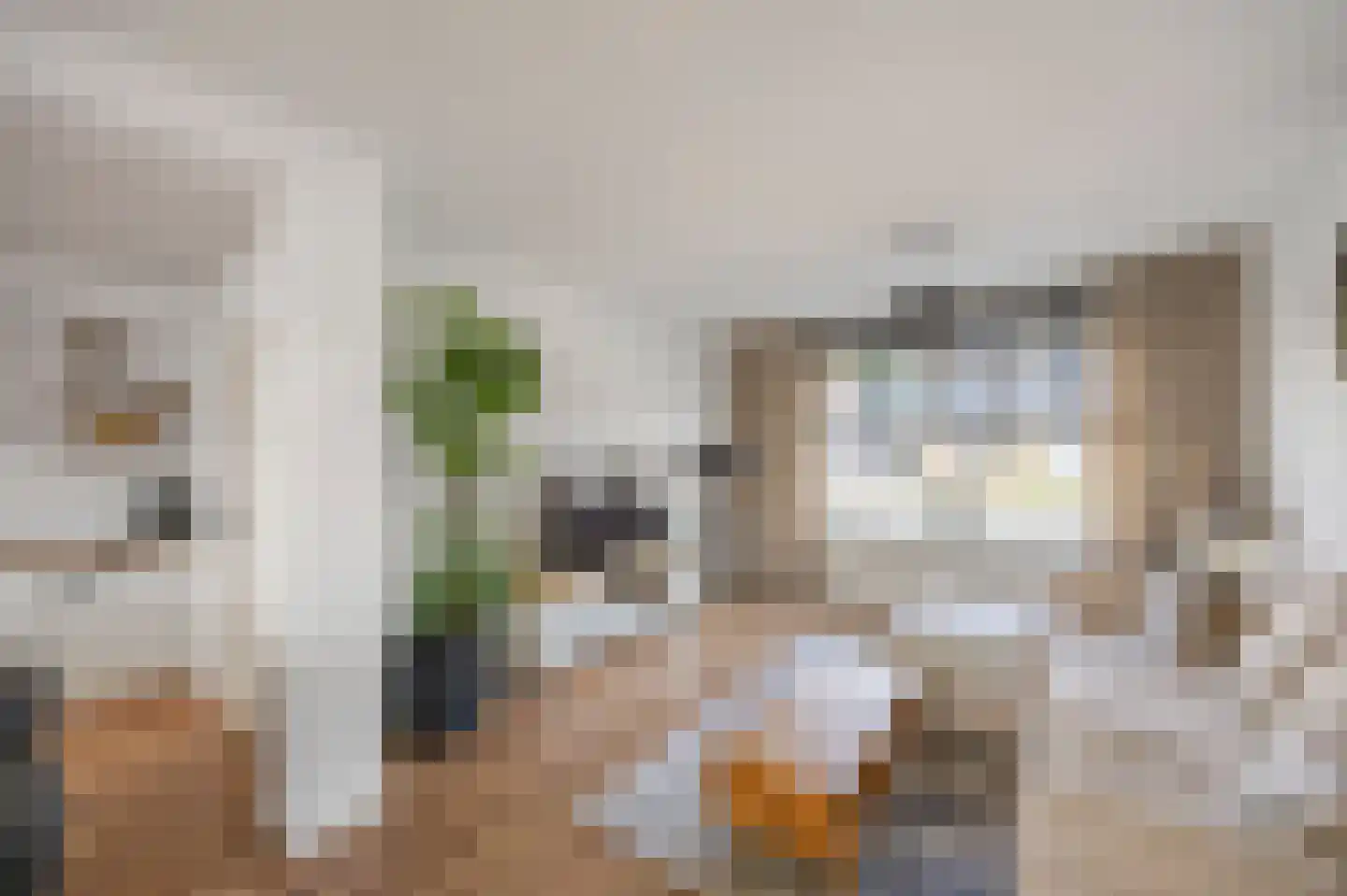 Brikkenstraat 30 Maasbracht thumbnail 8
