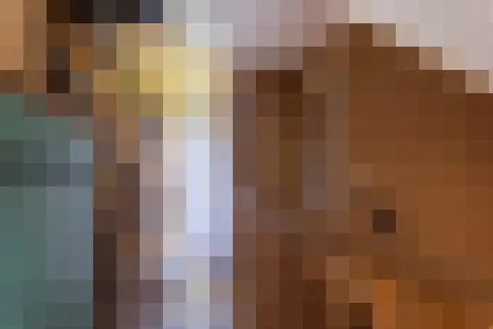 Brikkenweg 6 b Markelo thumbnail 15