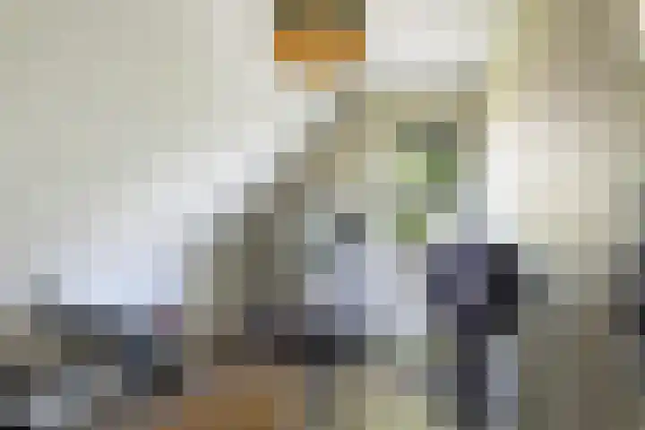 Brikkenweg 6 b Markelo thumbnail 22