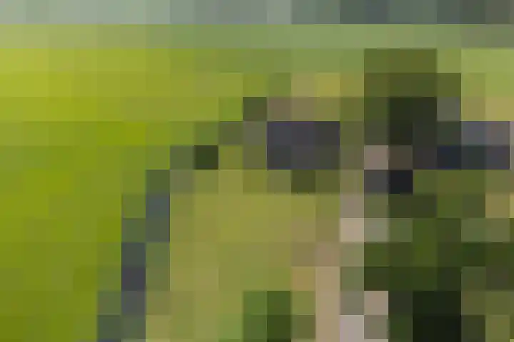 Brikkenweg 6 b Markelo thumbnail 23