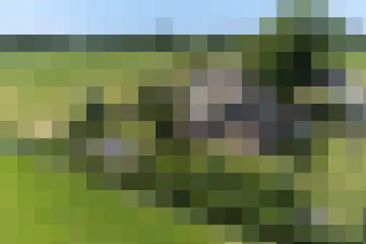 Brikkenweg 6 b Markelo thumbnail 26