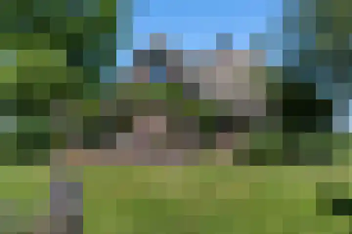 Brikkenweg 6 b Markelo thumbnail 27