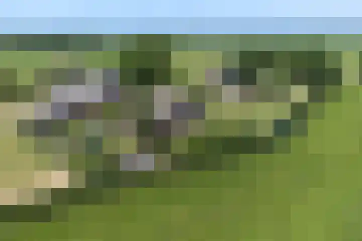 Brikkenweg 6 b Markelo thumbnail 28