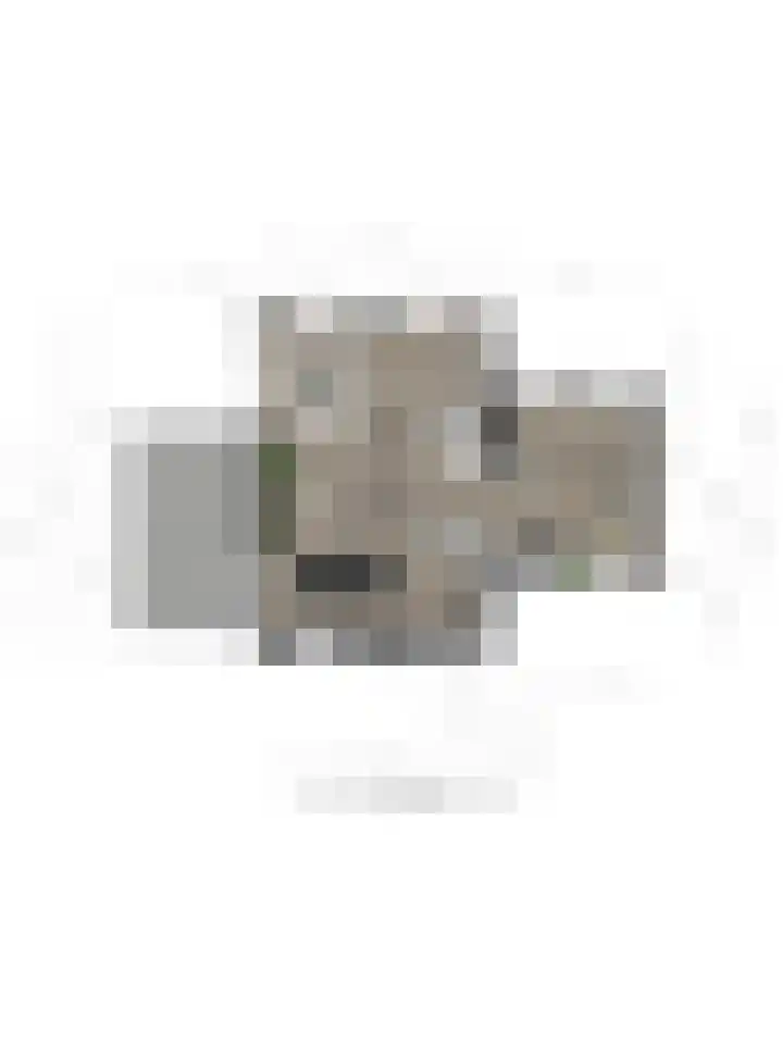Brikkenweg 6 b Markelo thumbnail 29