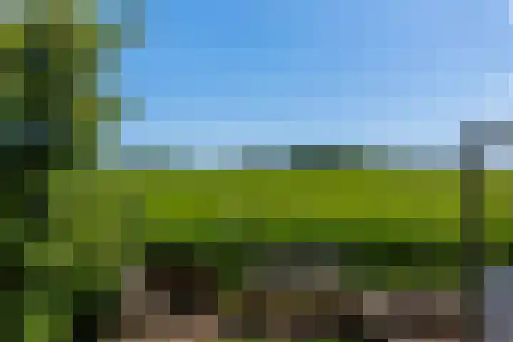 Brikkenweg 6 b Markelo thumbnail 4