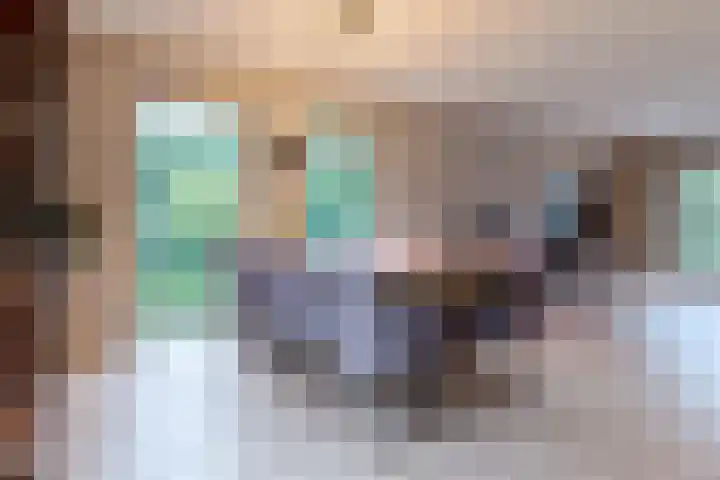 Briklaan 18 Leek thumbnail 17