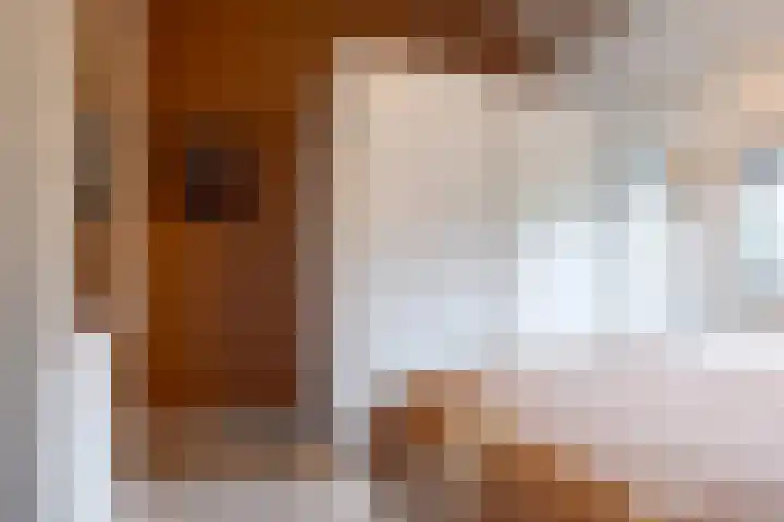 Briklaan 18 Leek thumbnail 33