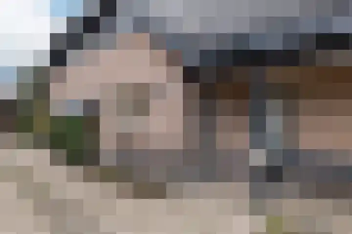 Briklaan 18 Leek thumbnail 4