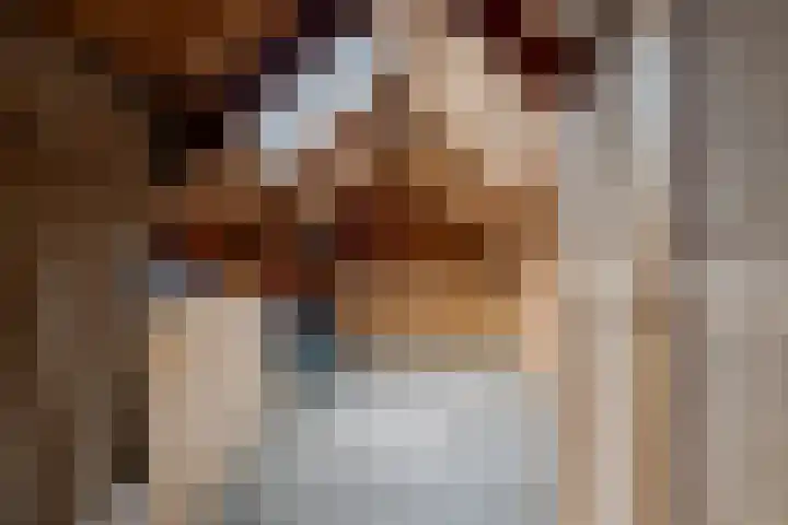 Briklaan 18 Leek thumbnail 48