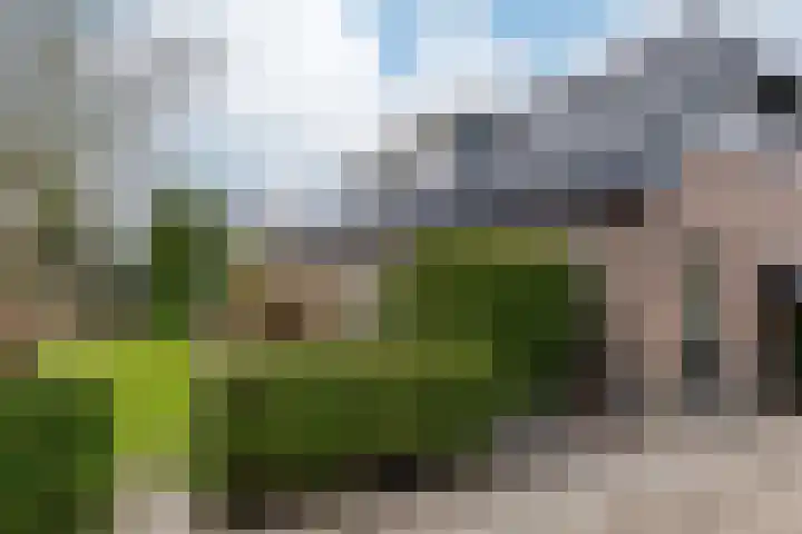 Briklaan 18 Leek thumbnail 49