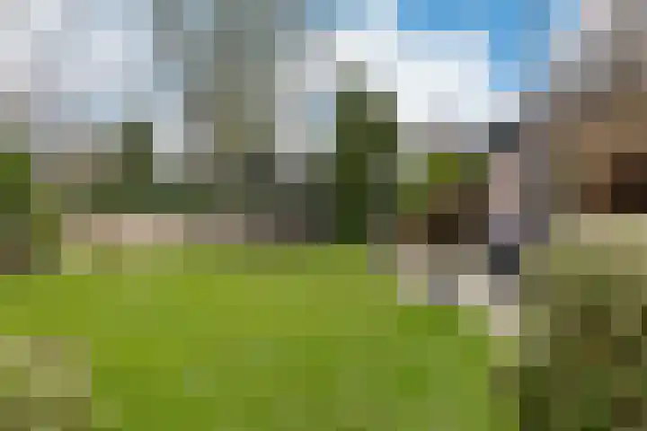 Briklaan 18 Leek thumbnail 50
