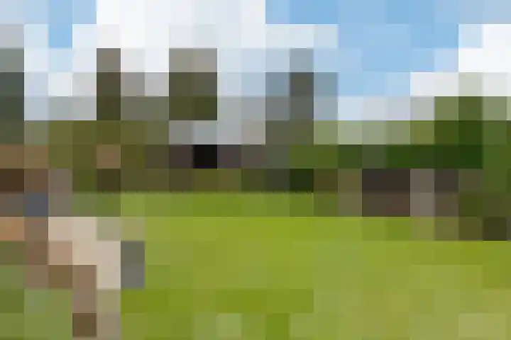 Briklaan 18 Leek thumbnail 53