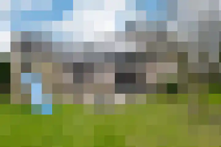 Briklaan 18 Leek thumbnail 55