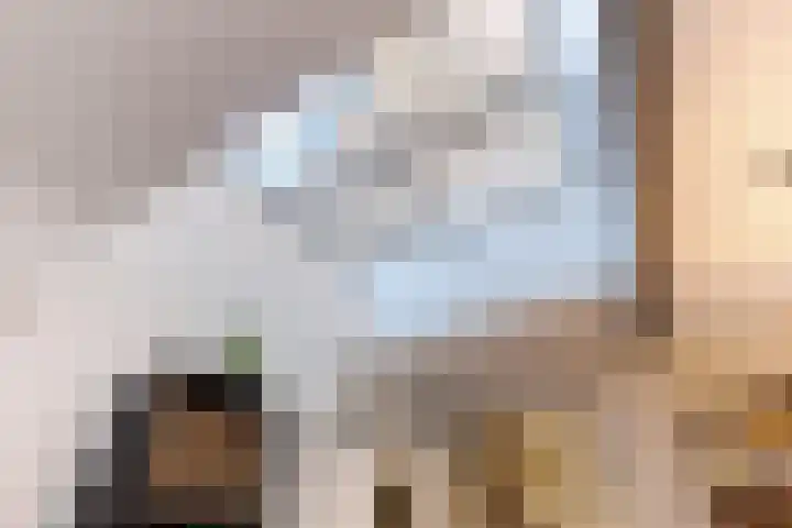 Briklaan 18 Leek thumbnail 8