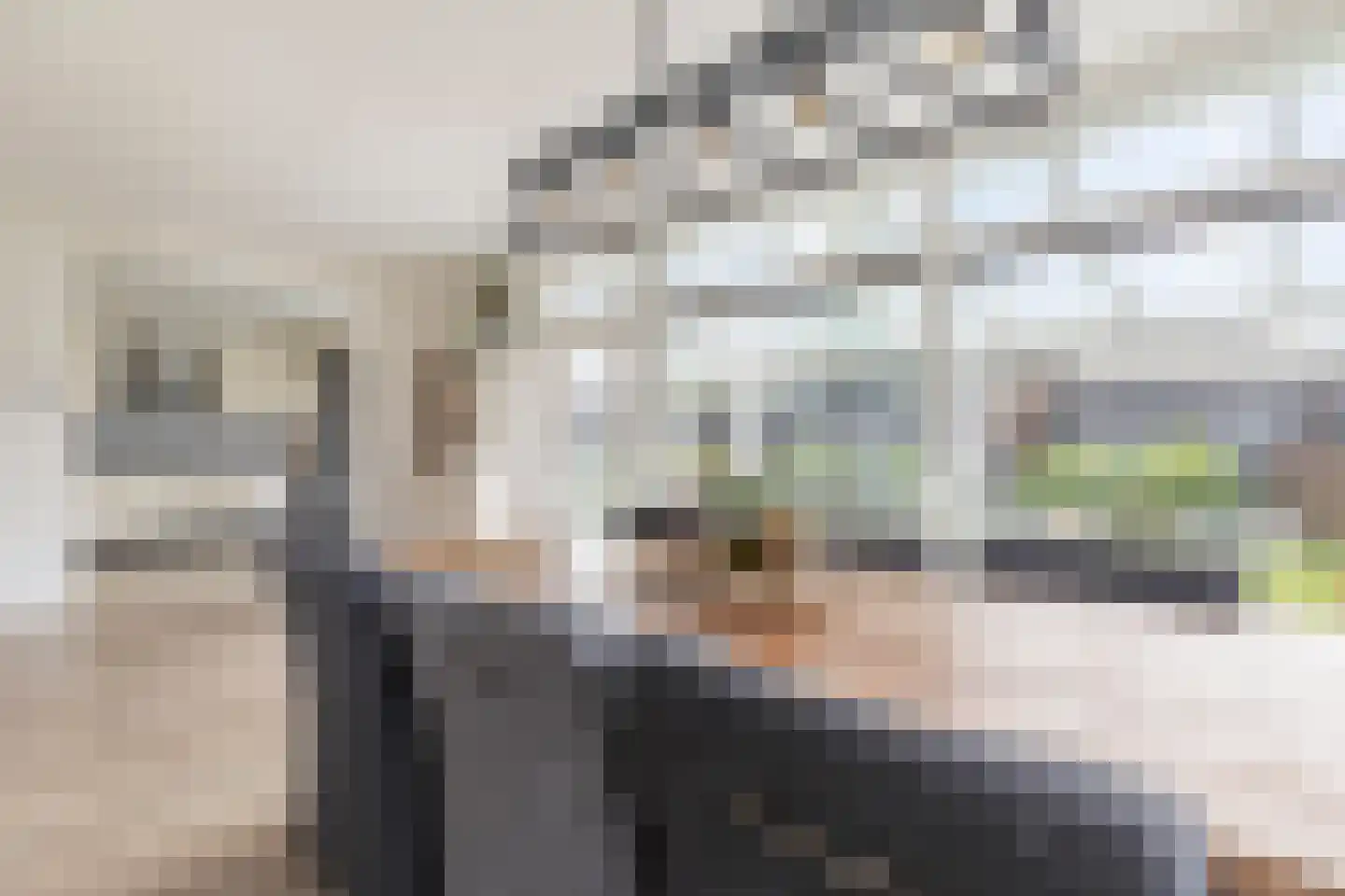 Briklaan 20 Leek thumbnail 10