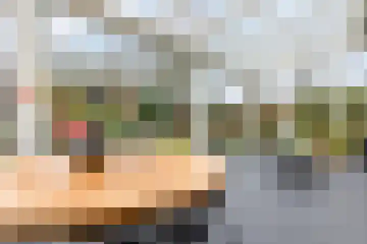 Briklaan 20 Leek thumbnail 14