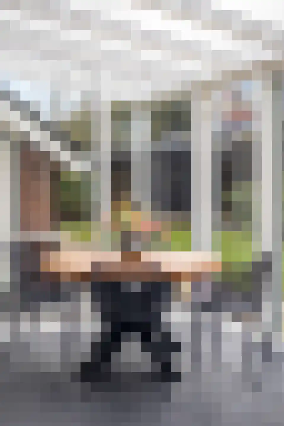 Briklaan 20 Leek thumbnail 16