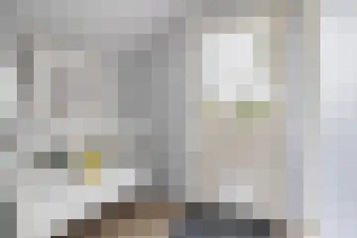 Briklaan 20 Leek thumbnail 17
