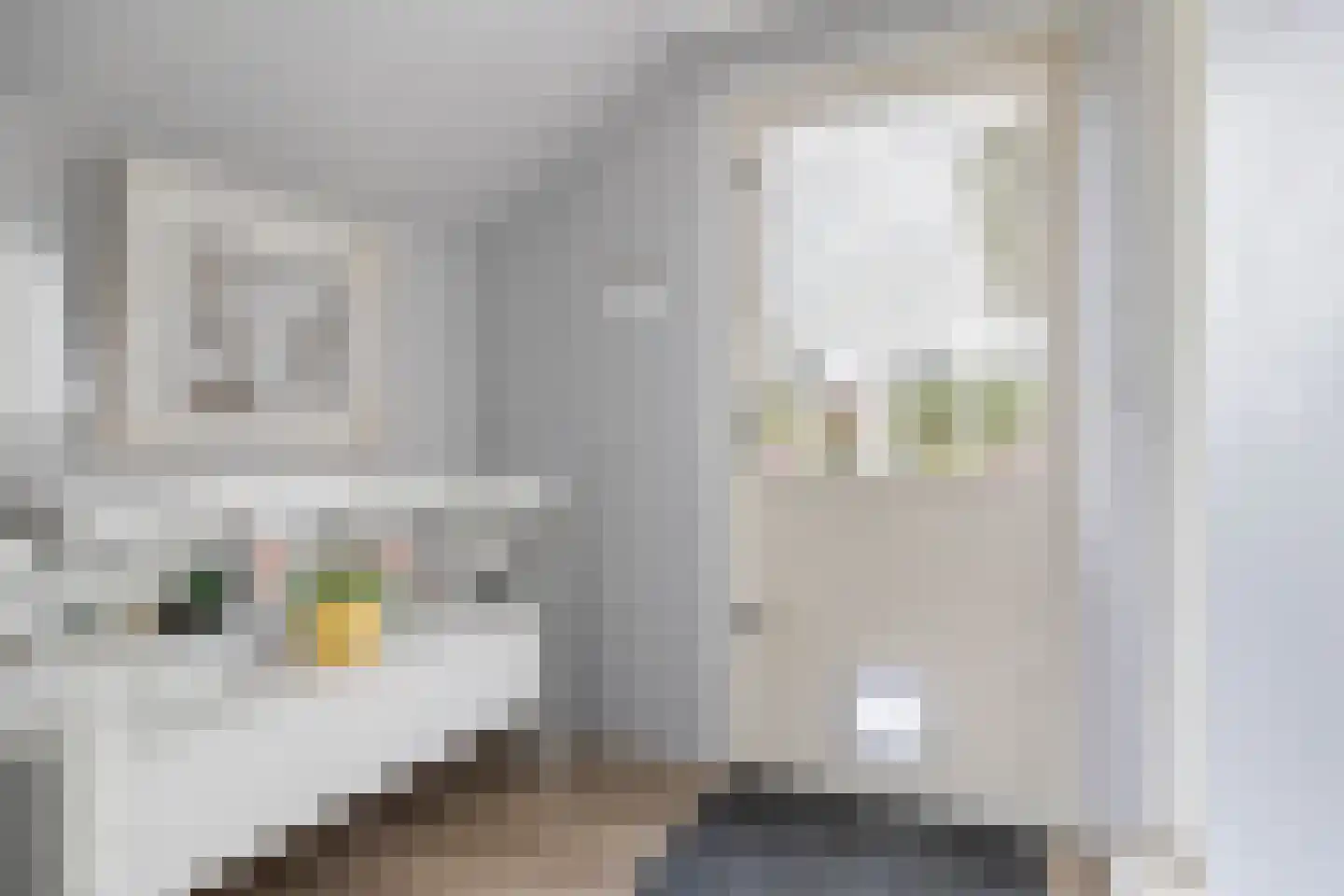 Briklaan 20 Leek thumbnail 17