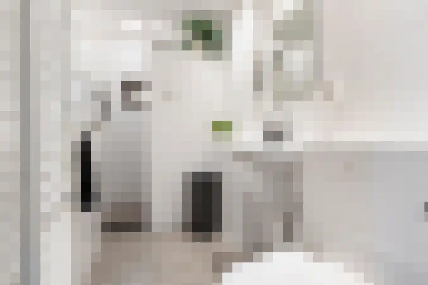 Briklaan 20 Leek thumbnail 22