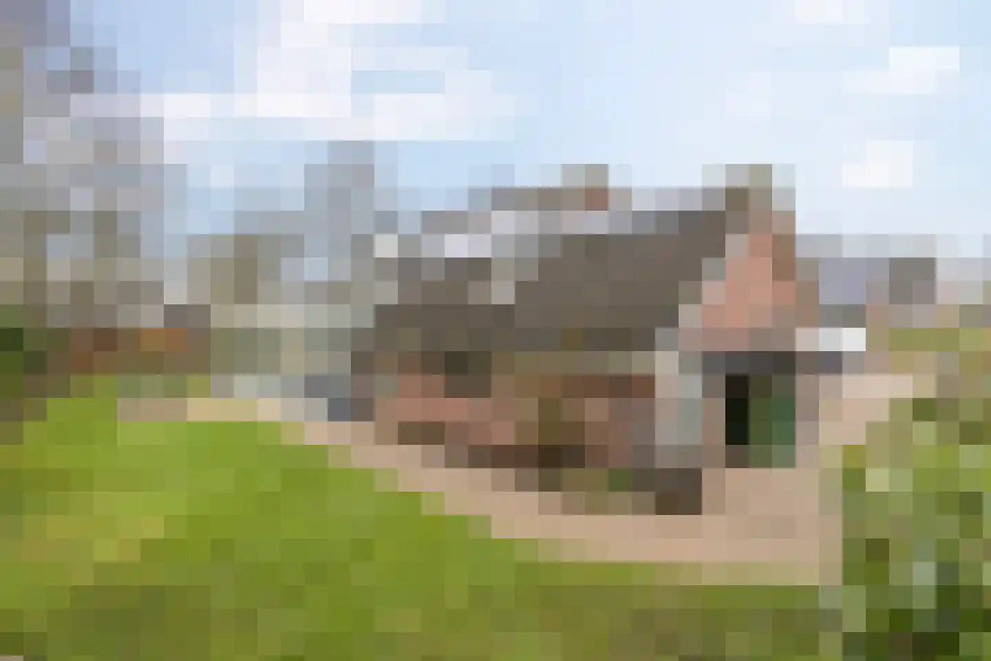 Briklaan 20 Leek thumbnail 29