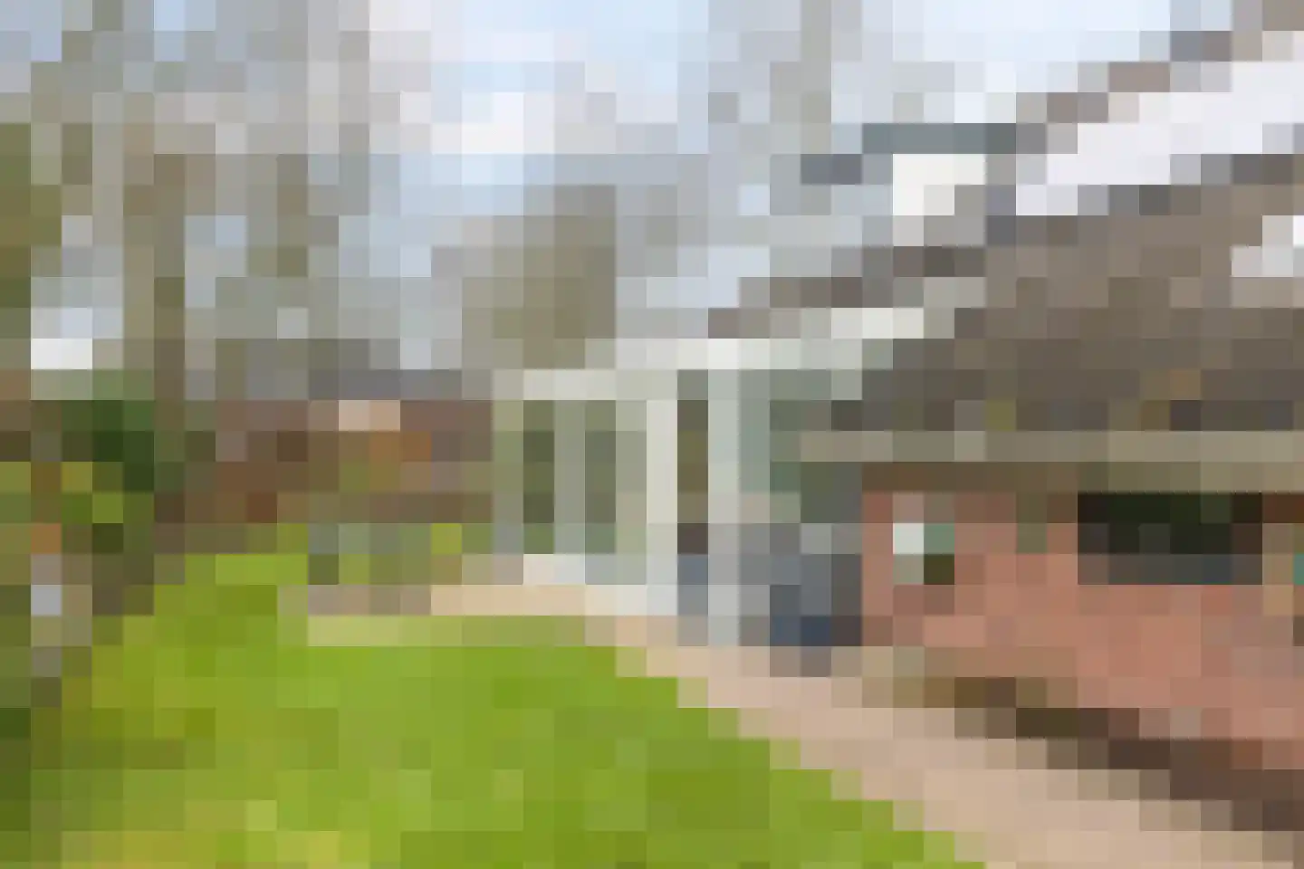 Briklaan 20 Leek thumbnail 30