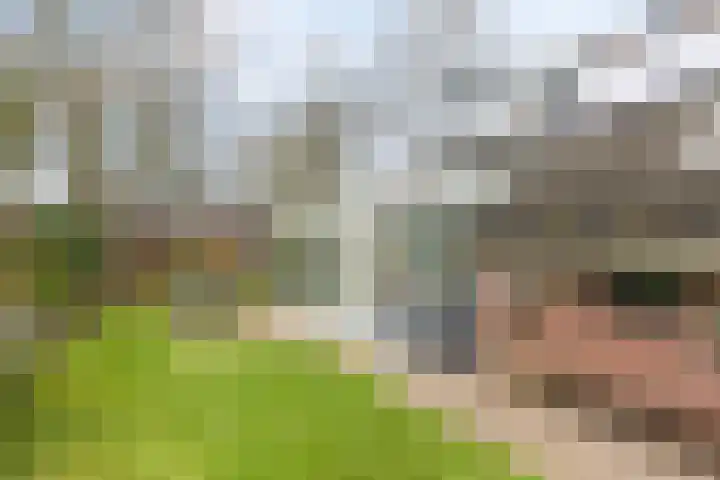 Briklaan 20 Leek thumbnail 30