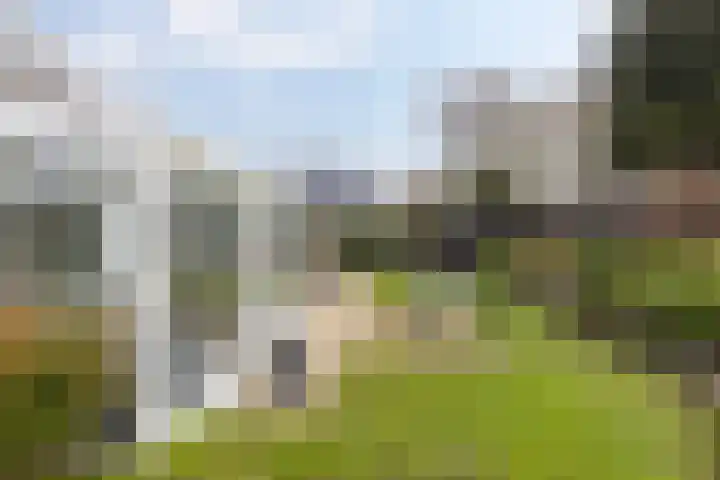 Briklaan 20 Leek thumbnail 31